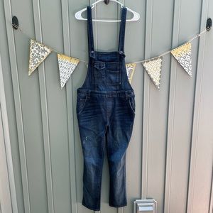 Free People Through the Woods Dark Denim Overalls